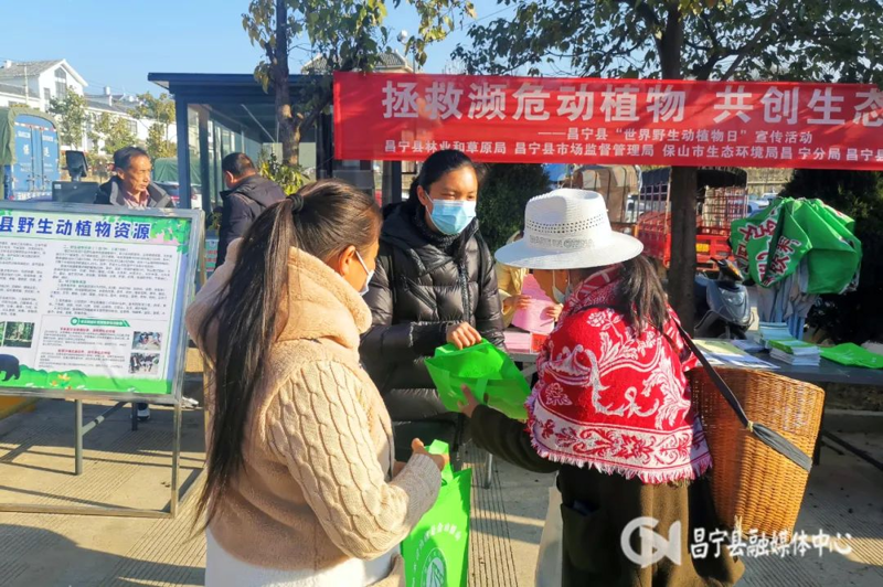 保山科普活动